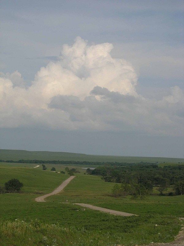 an open field with a dirt road in the middle and green grass on both sides