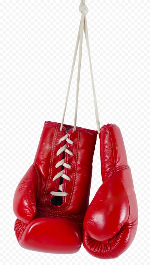 two red boxing gloves hanging from a rope