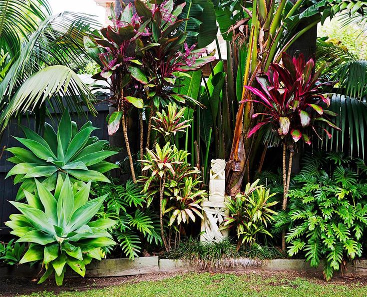 the garden is full of tropical plants and trees