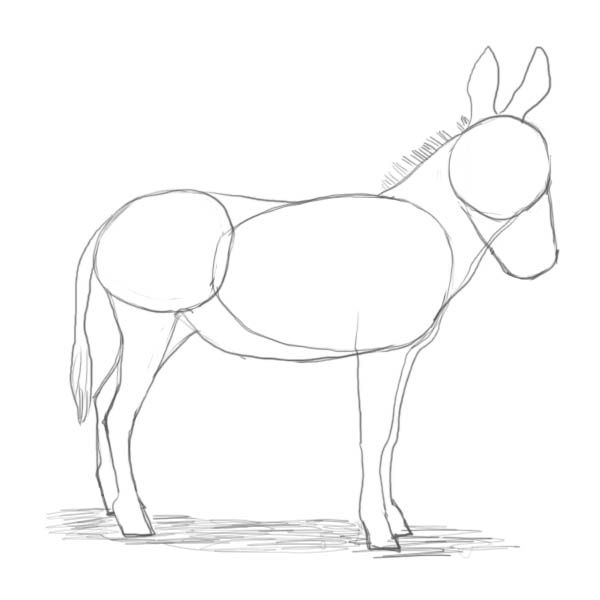 how to draw a donkey step by step