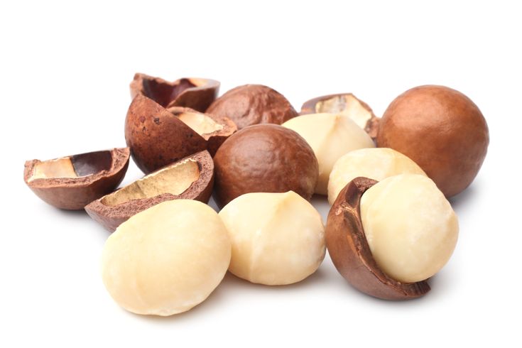 nuts are shown on a white background