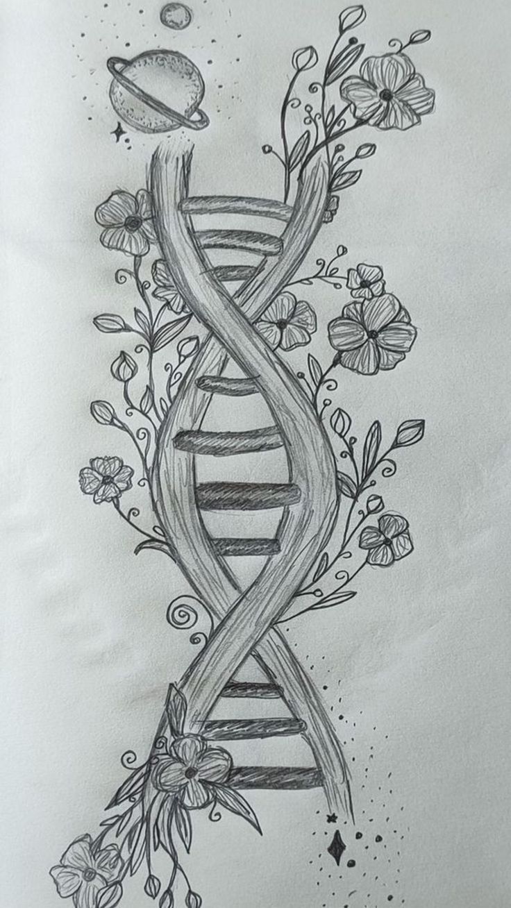 Dna Drawing Art, Birthday Sketch Art Drawings, Dna Drawing, Outline Shapes, Mysterious Art, Drawing Ideas Creative, Art Goals, Dog Drawings, Pencil Drawings For Beginners