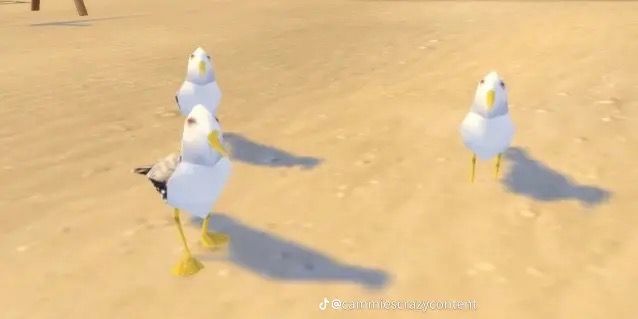 three seagulls are walking in the sand and one is looking at the camera