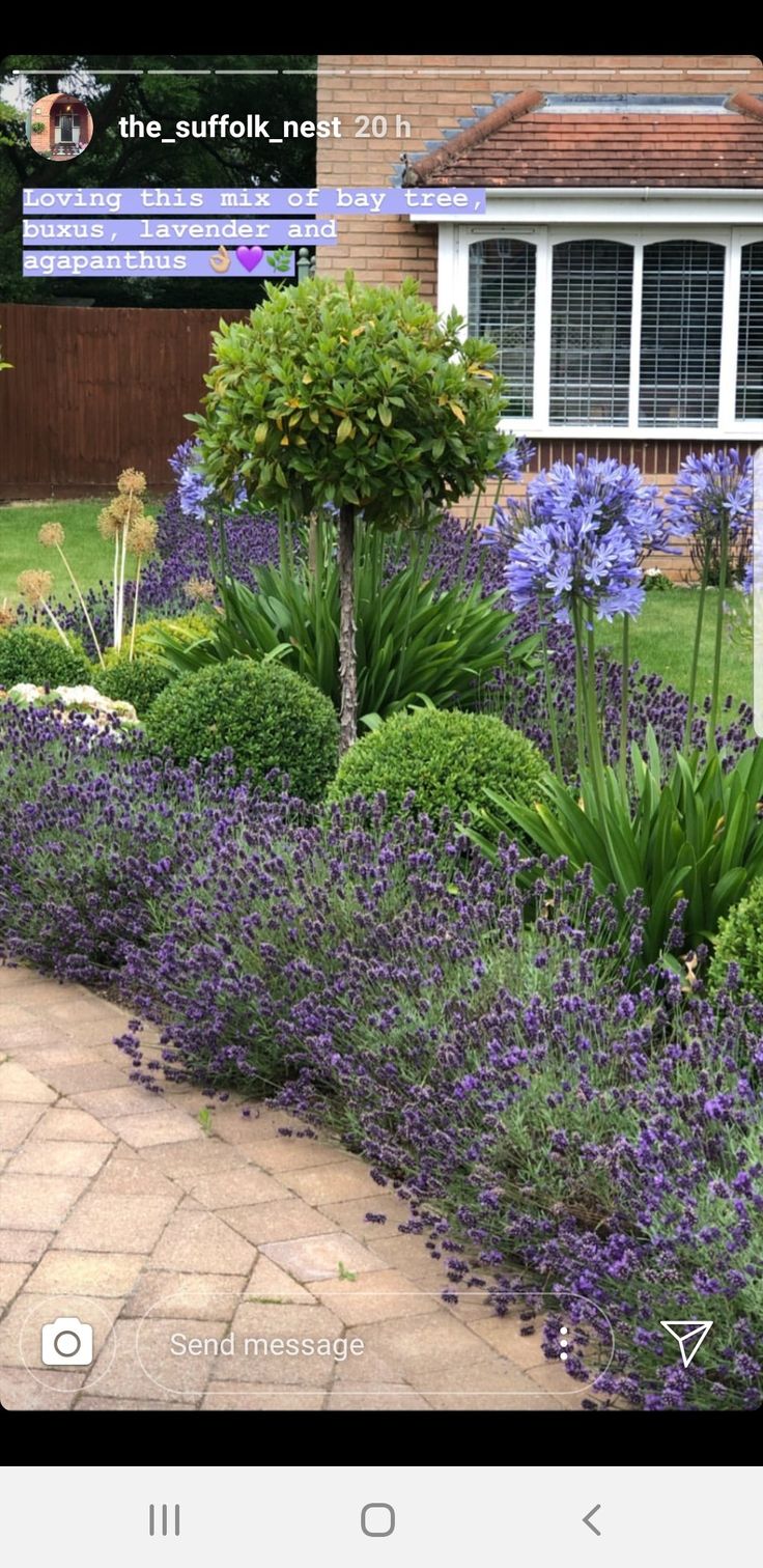 a garden with purple flowers and trees in the back ground, next to a house