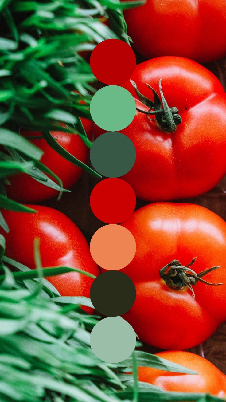 tomatoes and green leaves on a wooden surface with the color scheme in red, orange, blue