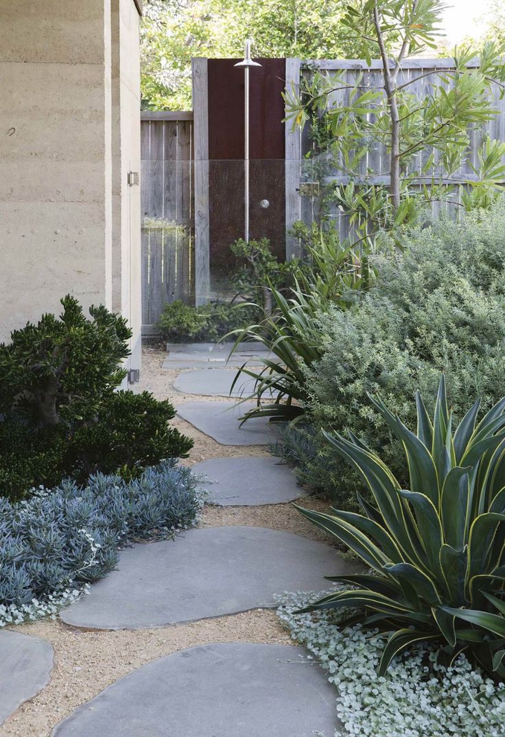 a stone path in the middle of a garden with blue plants and gravel around it