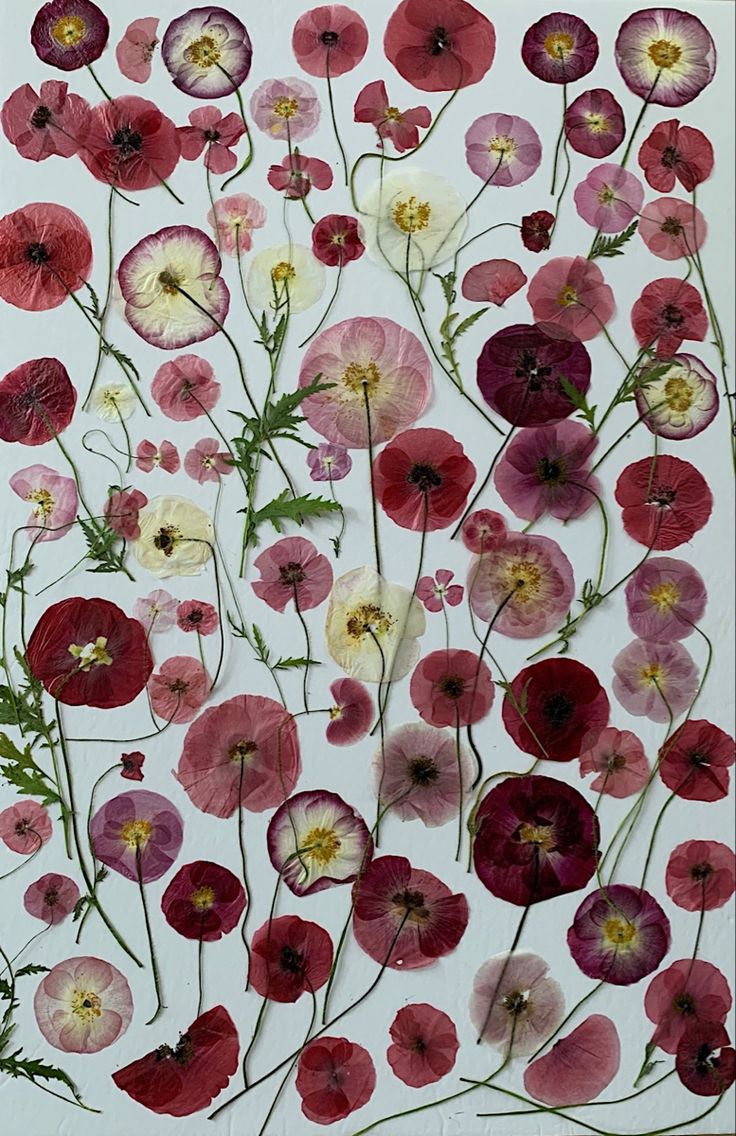 an arrangement of flowers on a white background with red and pink petals in the center