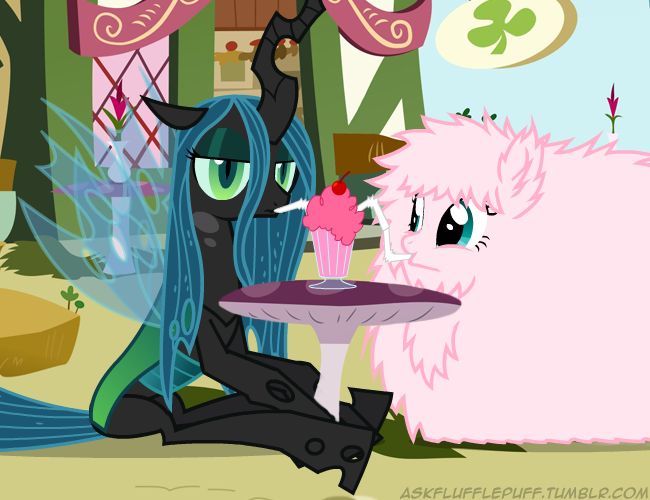 two ponies sitting next to each other in front of a table with a cupcake on it