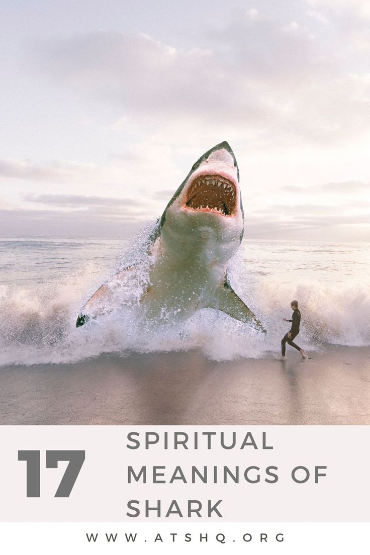 a man running towards a shark with the caption 17 inspirational meanings of shark week