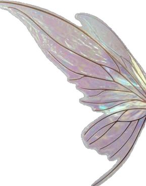 an image of a fairy wings flying in the air with its tail spread wide open