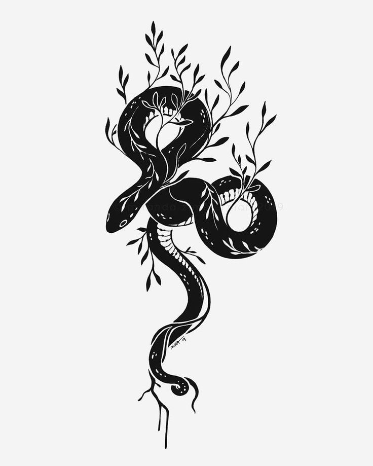 a black and white drawing of a snake