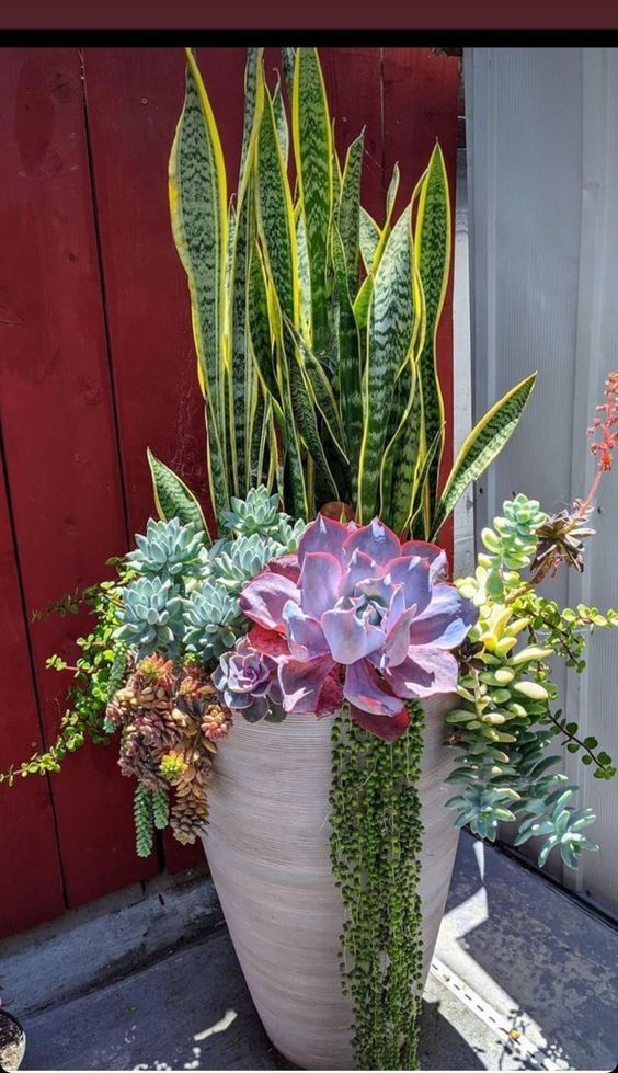 a large potted plant sitting on top of a window sill next to a red wall