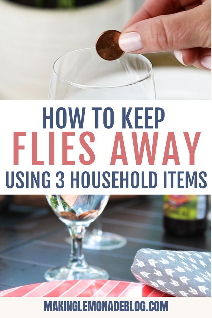 Learn how to use 3 things you already have at home to keep flies away outside. This hack for getting rid of flies outdoors will let you eat your meals in peace. Remedies For Flies In House, Rid Of Flies In House, Deter Flies Outside, How To Catch Flies In Your House, How To Deter Flies Outside, Fly Repellant Diy Indoors, House Fly Repellent, Repel Flies Outdoors, Keep Flies Out Of House