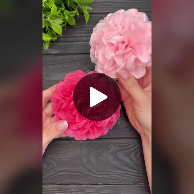 two pink flowers being held by someone's hands