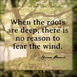 a tree with the quote when the roots are deep, there is no reason to fear the wind