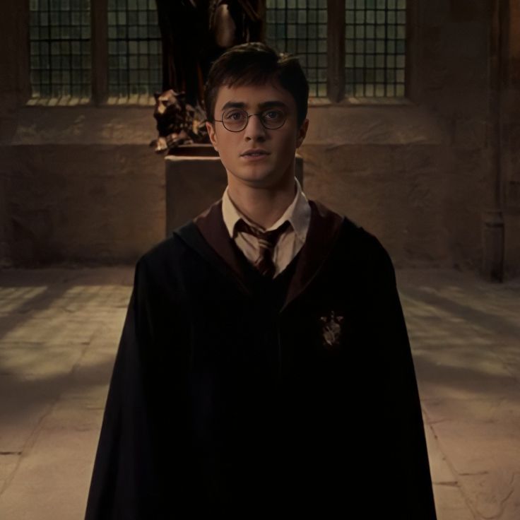 harry potter standing in front of a statue wearing glasses and a black robe with a white collar