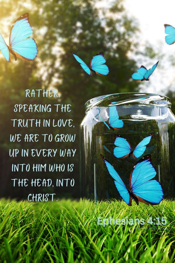 a jar filled with blue butterflies sitting on top of green grass