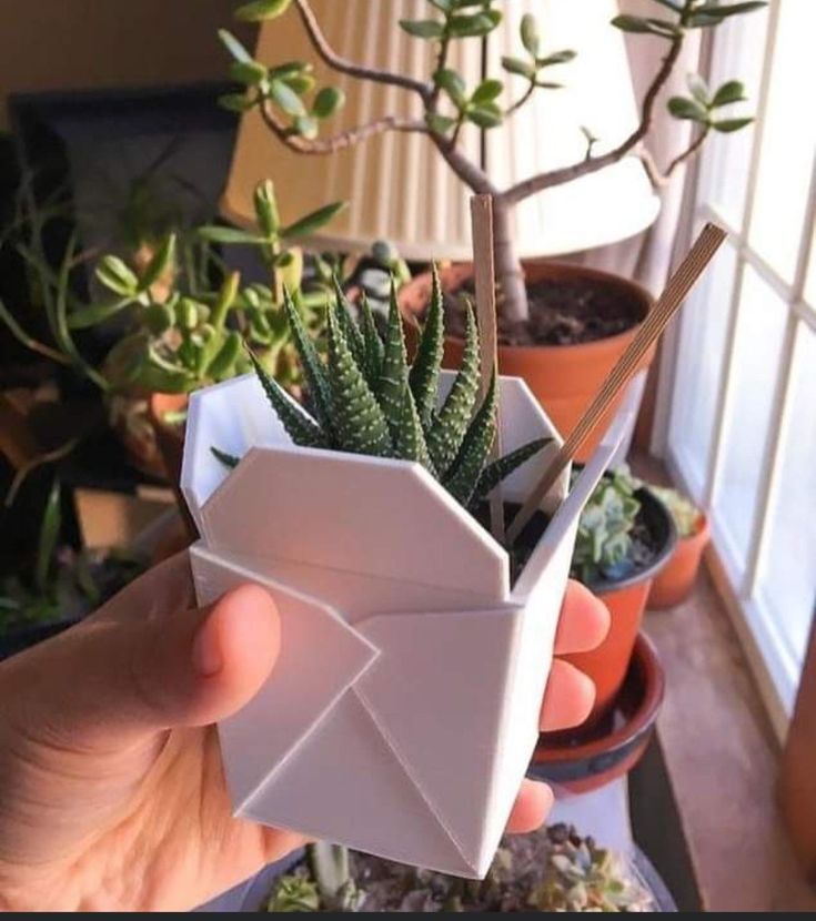 a person holding an origami plant in front of some succulents