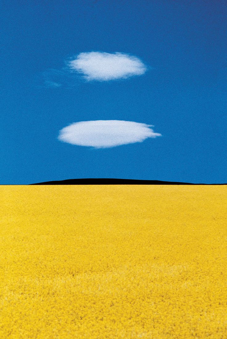 two white clouds are in the blue sky above a yellow field