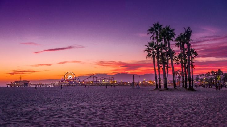 palm trees on the beach at sunset with ferris wheel in distance and amusement park in background