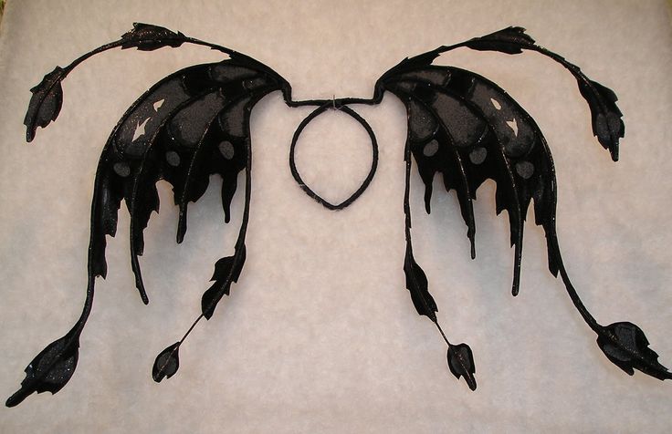 an angel wing with black feathers on it