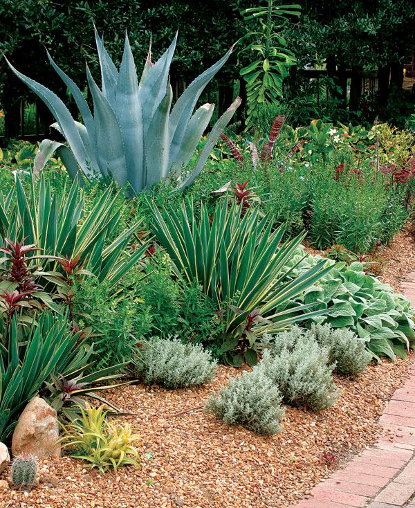 a garden filled with lots of different types of plants