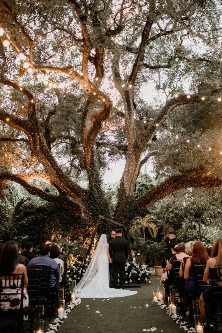 a bride and groom standing at the end of their wedding ceremony under a large tree