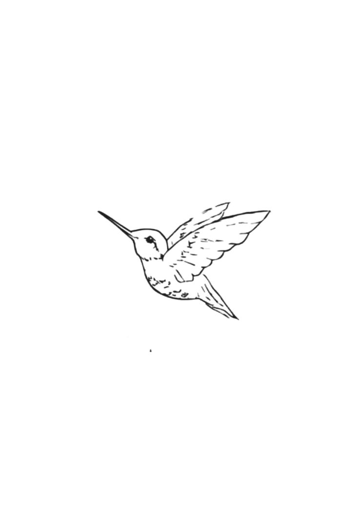 a black and white drawing of a hummingbird