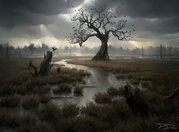 a large tree sitting in the middle of a field next to a river under a cloudy sky