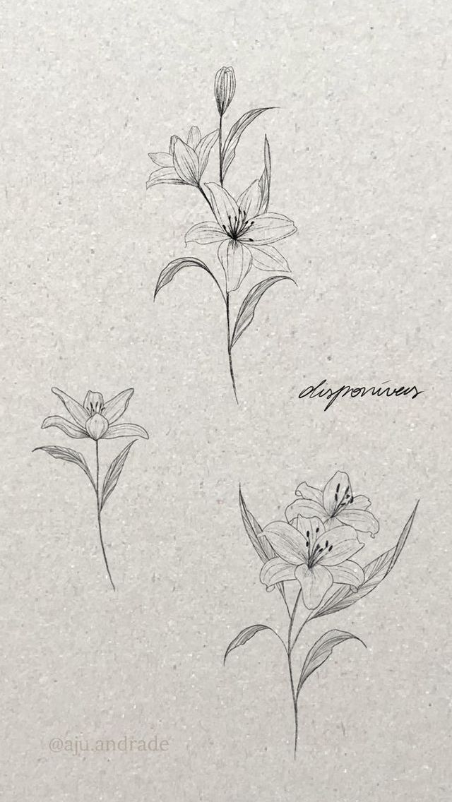 three different types of flowers are shown in this drawing