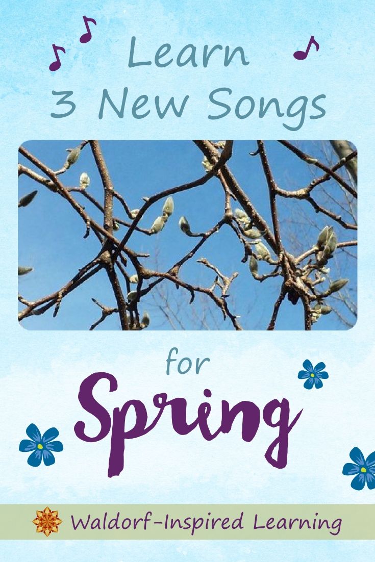 the cover of learn 3 new songs for spring, with an image of a tree