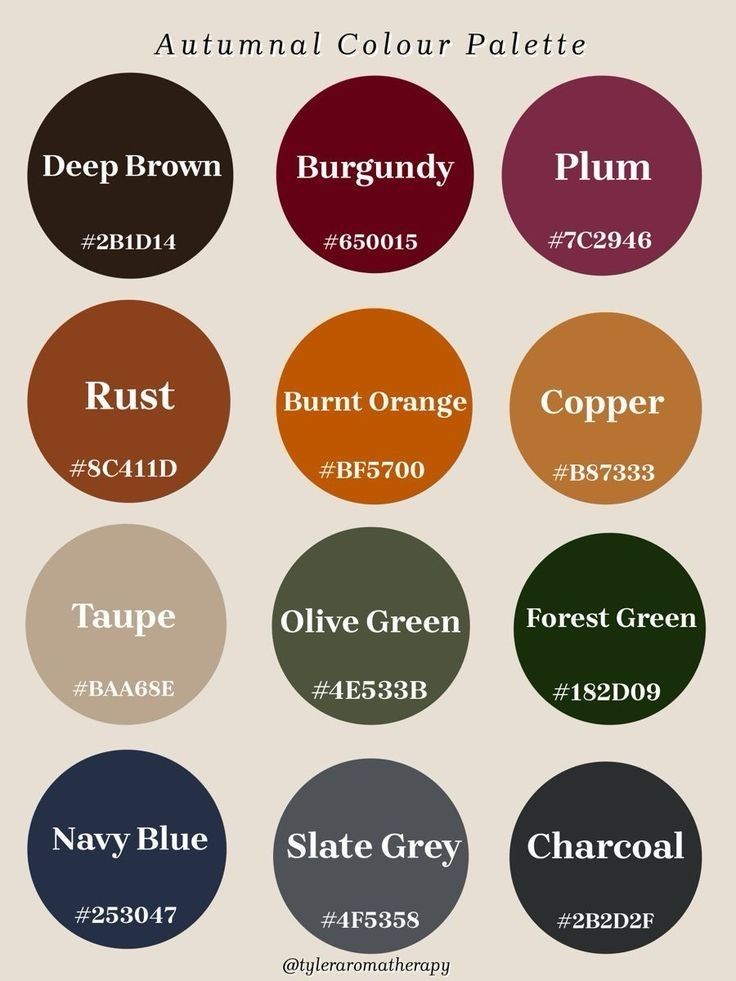 the color palettes for different colors are shown in this graphic style, and there is also