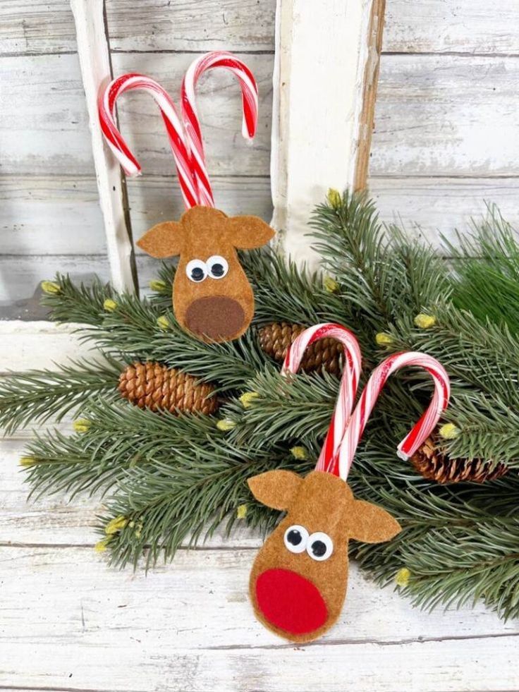 three christmas ornaments hanging from a tree with candy canes in the shape of reindeer heads