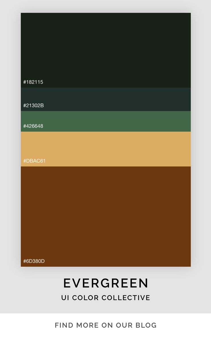 A green and brown colour scheme for free use in marketing, design and social media Jungle Green Colour Palette, Evergreen Colour Palette, Dark Green Graphic Design, Dark Green And Brown Color Palette, Bedroom Ideas Aesthetic Dark, Dark Earthy Color Palette, Halloween Backgrounds Aesthetic Dark, Evergreen Color Palette, Dark Green Colour Palette