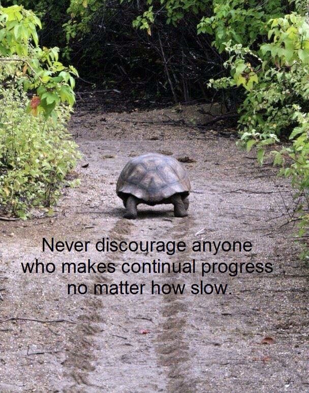 a tortoise walking down a dirt road with a quote on the back ground