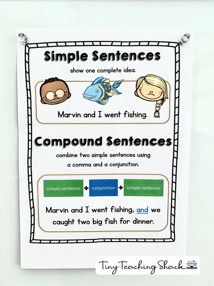 a poster with some writing on it that says compound sentences and two fish for dinner