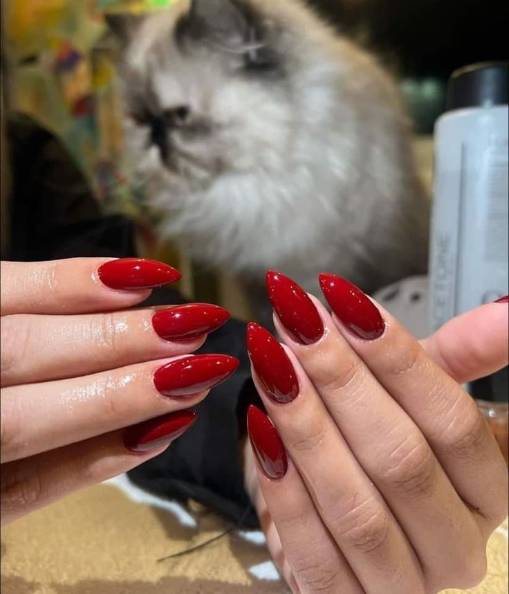 Plain Red Almond Nails, Almond Long Red Nails, Scarlett Red Nails, Long Nails Colors, Red Gel X Nails Almond, Red Nails Bright, Long Almond Red Nails, Bright Summer Almond Nails, Red Nails Inspo Almond