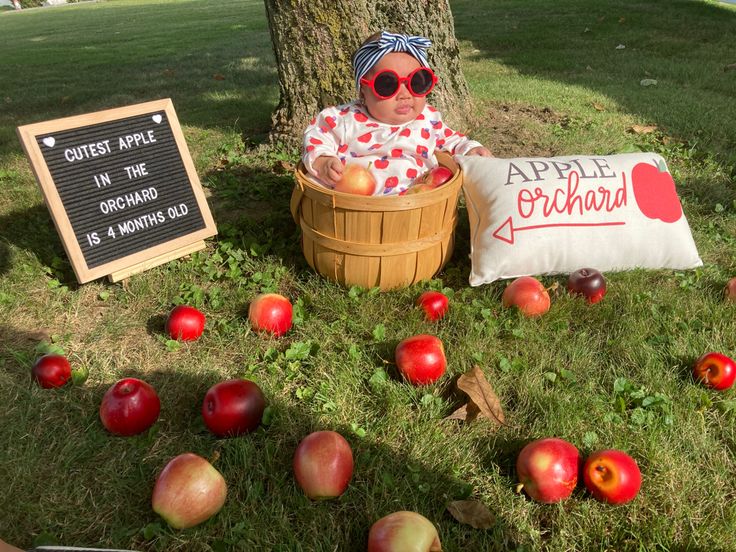 a baby sitting in a basket next to apples and a sign that says apple orchard