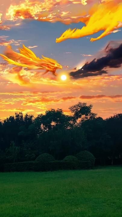 two birds flying in the sky over a lush green field with trees and bushes at sunset