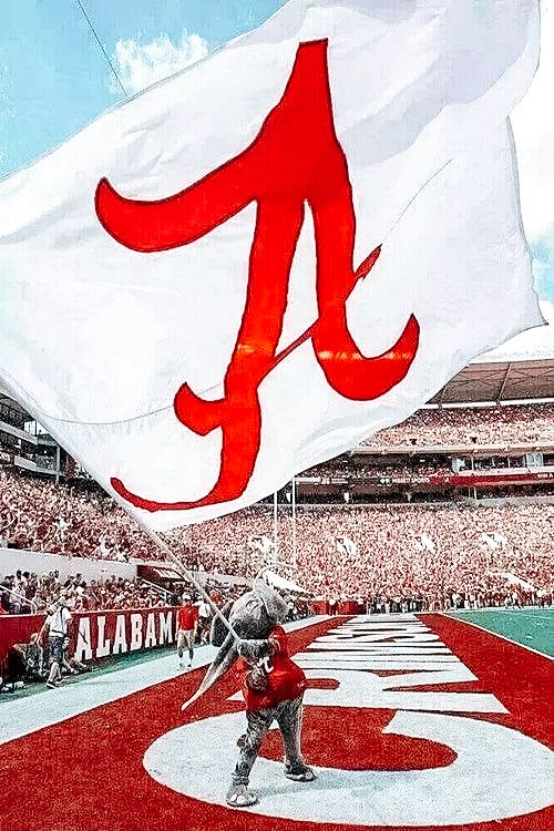 a baseball player holding a flag in front of a stadium full of people and fans