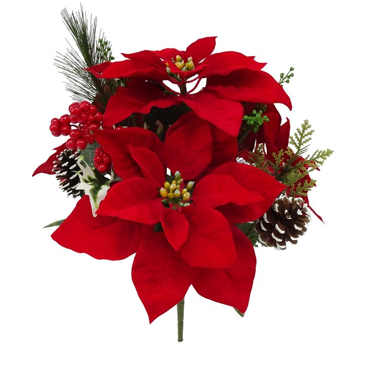 a red poinsettia with pine cones and greenery in it's center