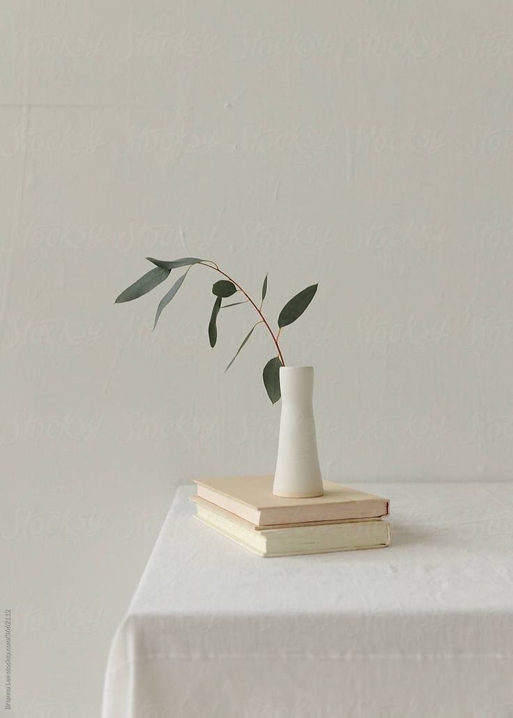 a white vase sitting on top of a table next to a stack of books and a plant