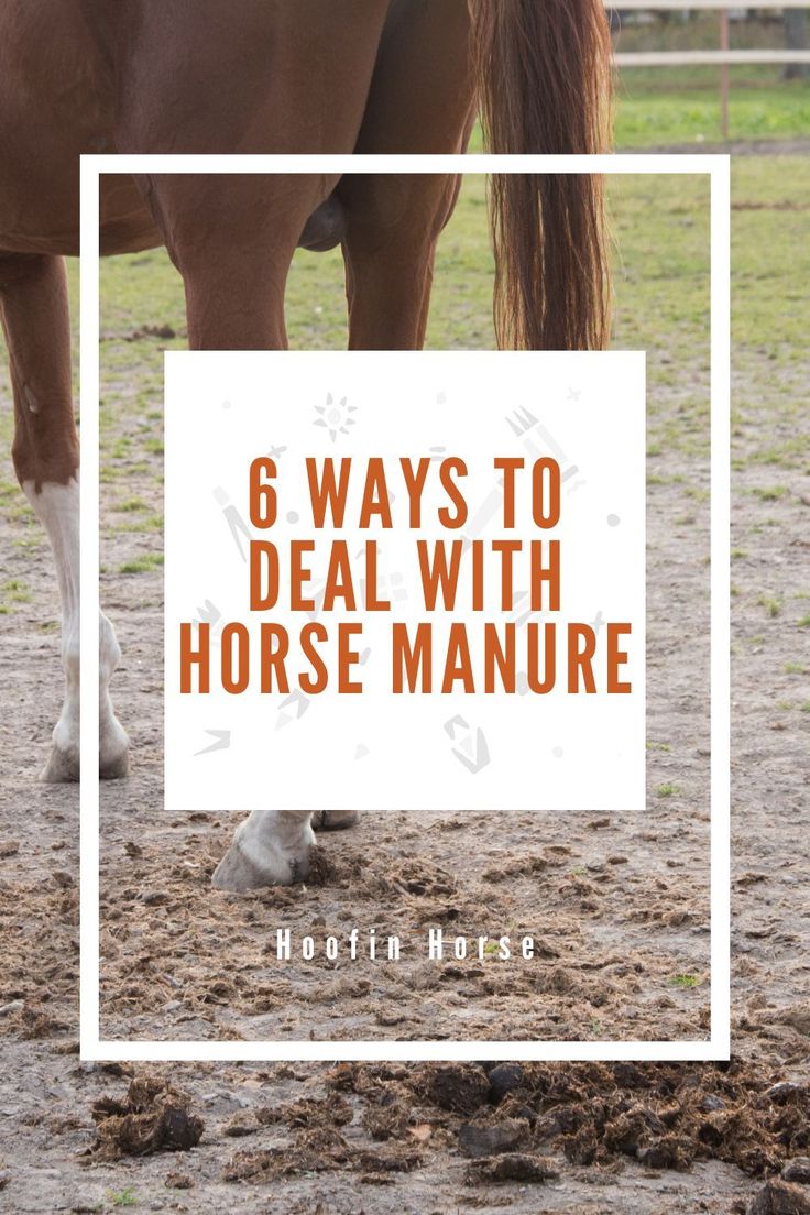 a brown horse standing on top of a dirt field next to a white square with the words 6 ways to deal with horse manure