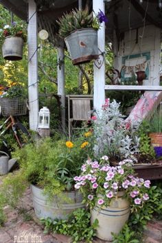 an outdoor garden with lots of potted plants