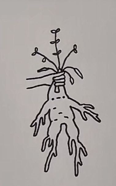 a black and white drawing of a tree with roots