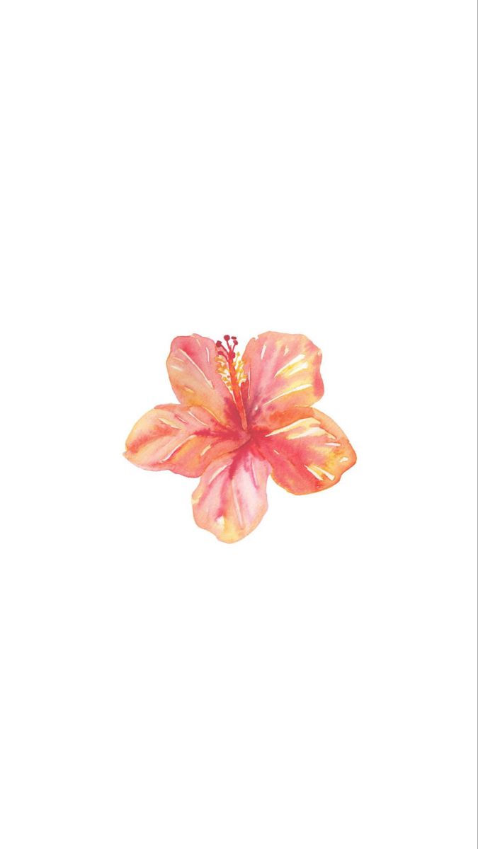 a pink flower is floating in the air on a white background with watercolor effect