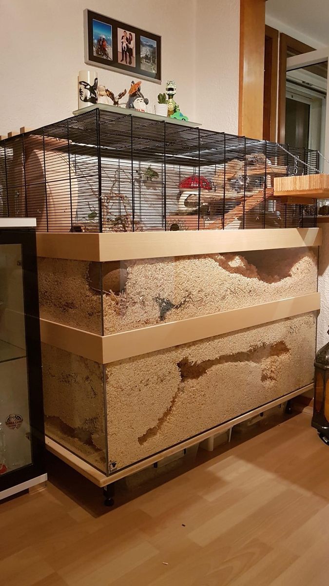 a caged animal is sitting on top of a wooden box in the middle of a room