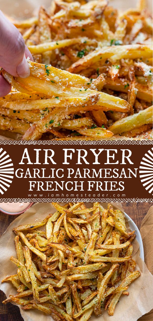 air fryer garlic parmesan french fries on a plate with text overlay