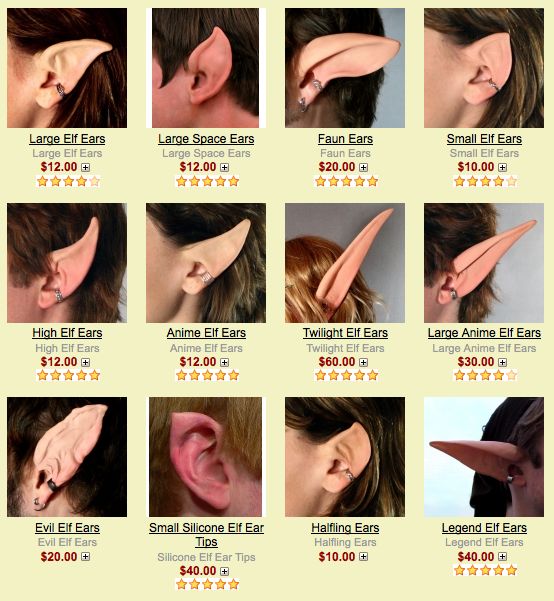 the price of ear piercings is shown