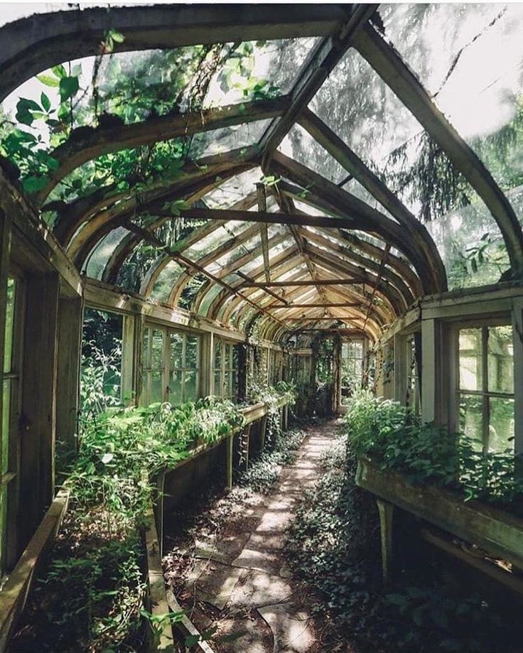 an old greenhouse with lots of plants growing inside